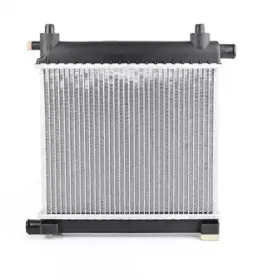 Радиатор, охлаждение двигателя BSG купить